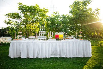 Nature outdoor festive banquet table set catering with appetizers