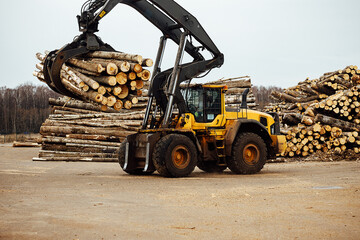 Obraz premium the front loader transports the harvested wood in the factory. industrial transport works in a warehouse. loading of wood raw materials on a conveyor belt at the factory