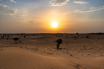 sun set view of thar desert during golden hour.