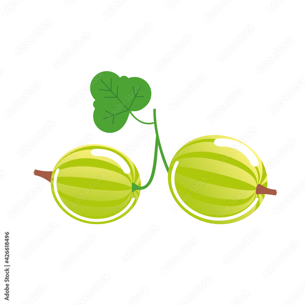 Wall mural branch with two green gooseberries with a leaf. vector isolated on white.