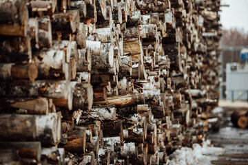 the texture of many tree trunks. the sawn-down tree trunks are stored in the warehouse of an industrial enterprise. deforestation for the production of wood products