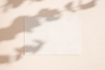 Blank card with eucalyptus branches shadows on beige background. Minimal concept mock up background.
