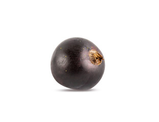 Black currant  isolated on white background with clipping path