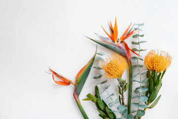 Colorful bouquet of exotic flowers. Bird of Paradise and protea flowers with eucalyptus. Vivid...