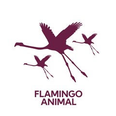 pink Flamingo bird tropical animal silhouette flat design style vector illustration