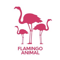 pink Flamingo bird tropical animal silhouette flat design style vector illustration