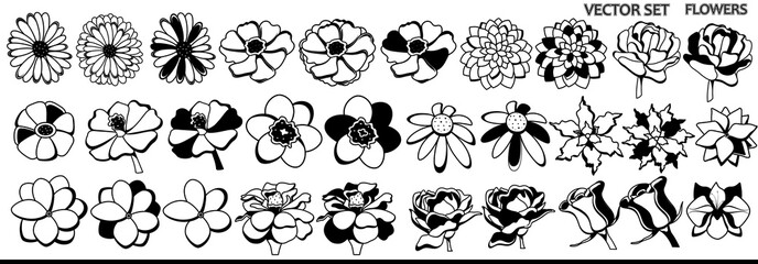 Set of flowers in black and white colors. Vector rose, chamomile, wildflowers on a white background. 
