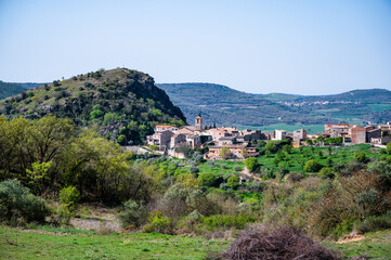Fototapeta na wymiar Vista de Santa Linya en Lleida