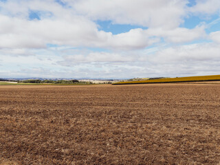 Terres agricoles, noires et fertiles de la Grande Limagne au centre de l'Auvergne autour de...