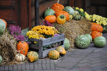 D&eacute;coration champ&ecirc;tre de courges et citrouilles