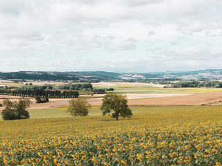 La Limagne. Paysage de campagne, collines et plaines au centre de l'Auvergne autour de l'allier et...