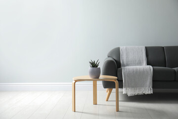 Fototapeta na wymiar Stylish living room interior with comfortable grey sofa and beautiful plant