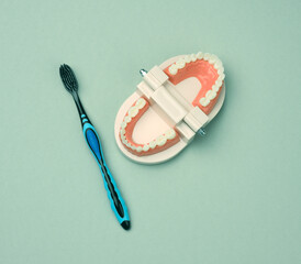 plastic model of a human jaw with white teeth and toothbrush on a green background