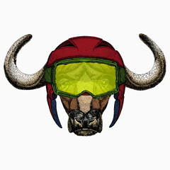 Buffalo Bison mascot head. Animal portrait.