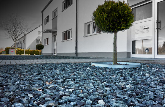 Front yard at new apartment building with gray gravel stones and a lone small tree