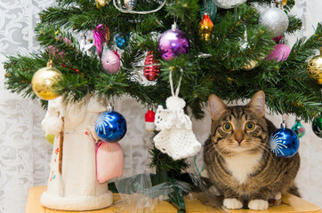 christmas tree with toys