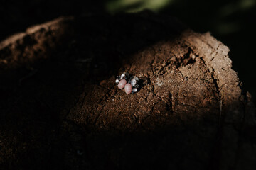 Pendientes de novia. Accesorios para novia. Preparativos el día de la boda en casa de la novia. 
