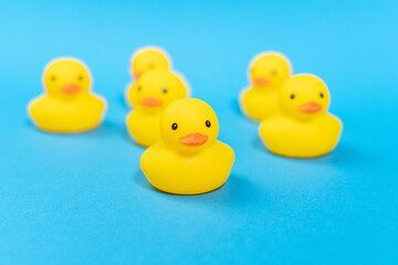 yellow rubber ducks on a blue background. Minimal summer concept.