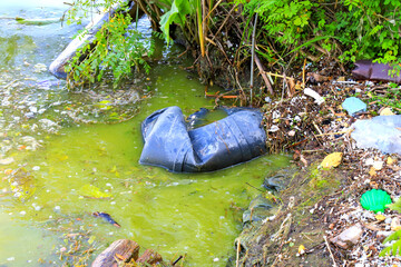 Plastic garbage on river bank, dirty green blooming water in lake. Plastic bottles and bags in...