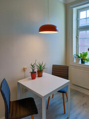 Simple kitchen table setting with some green house plants