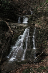 Obraz premium National Park and mountain river in the gorge with crystal clear clear ice water. Small cascading waterfall in the forest.