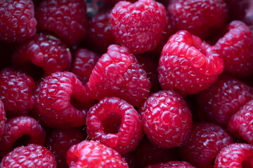 FRESH ORGANIC RASPBERRIES CLOSE UP 