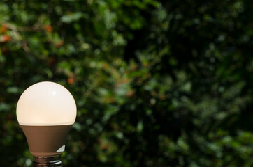 led lamp with natural green background, with copy space