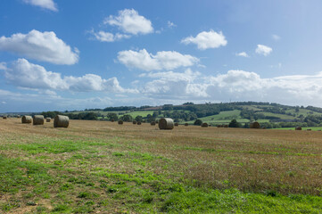 Landscape in the Cotswolds and Kent in the United Kingdom with round bales of hay and blue sky with...