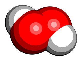 Hydrogen peroxide molecule. Reactive oxygen species (ROS). Used as bleaching agent, disinfectant, chemical reagent, etc. 3D rendering. Atoms are represented as spheres with conventional color coding.