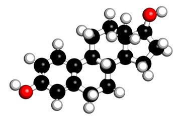 Estradiol (estrogen) female sex hormone molecule. 3D rendering. Atoms are represented as spheres with conventional color coding: hydrogen (white), carbon (black), oxygen (red).