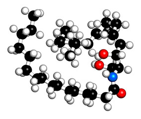 Ceramide cell membrane lipid molecule. 3D rendering. Atoms are represented as spheres with conventional color coding