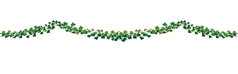 green botanical garland with ivy branches. Vector illustration.