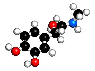 Adrenaline (adrenalin, epinephrine) neurotransmitter molecule. Used as drug in treatment of anaphylaxis 3D rendering. Atoms are represented as spheres with conventional color coding