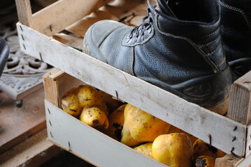 Chaussure et coing dans des caisses en bois