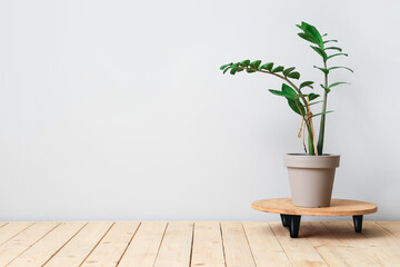 Wooden stand and pot with plant on light background