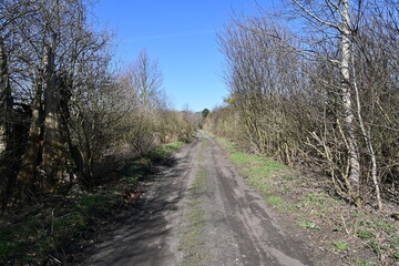 Alte naturbelassene Ortsverbindungsstraße im Frühling mit blauem Himmel in Brandenburg, Deutschland