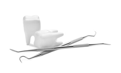 Dentist's tools and plastic teeth on white background