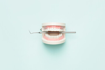 Dentist's scaler with jaw model on color background