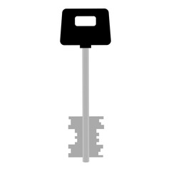 Estate concept, key on isolated background.