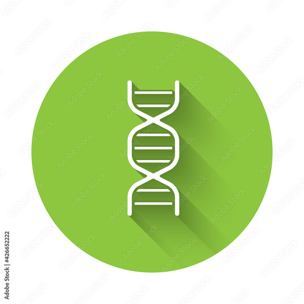 Poster white dna symbol icon isolated with long shadow. green circle button. vector