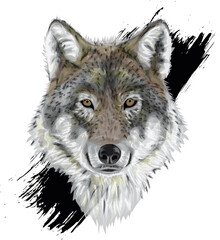 Wolf portrait / Stylized grunge art