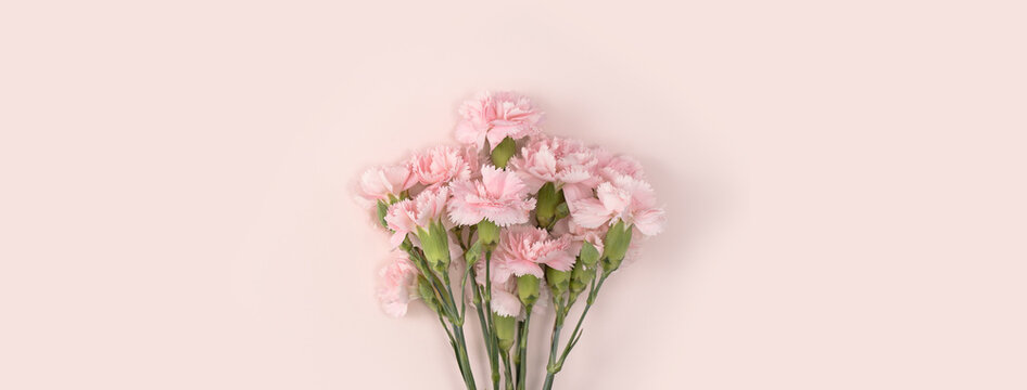 Design concept of Mother's day holiday greeting with carnation bouquet on pink table background