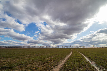 field and sky with clouds