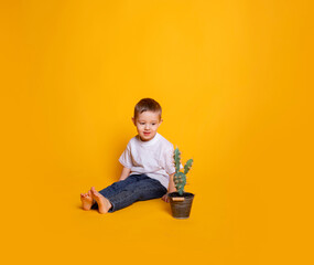 a child in jeans and a white T-shirt looks at a cactus in a pot