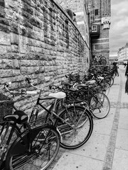 bikes lined up on a wall