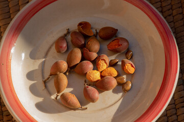 Velvet tamarind (Dialium cochinchinense) african wild fruit locally known as Tindziva, Awin, Icheku or Tsamiyar Kurm 