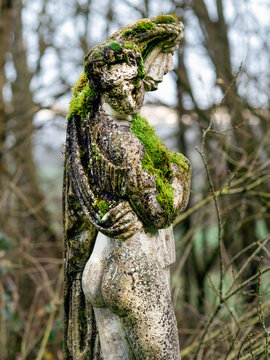 Ancient female sculpture in the forest overgrown by moss