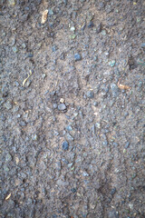 Gray asphalt during the beginning of the rain. Top view