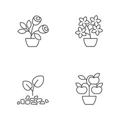 Gardening store categories linear icons set. Flowering tree shrubs. Growing natural foods in home garden. Customizable thin line contour symbols. Isolated vector outline illustrations. Editable stroke