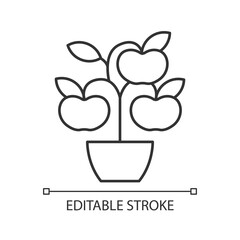 Fruit trees shrubs linear icon. Growing foods on trees in house garden. Gardening hobby items. Thin line customizable illustration. Contour symbol. Vector isolated outline drawing. Editable stroke